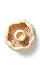 Closeup view of a mushroom cap showcasing intricate gills and texture in soft lighting