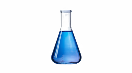 Blue Liquid in Erlenmeyer Flask