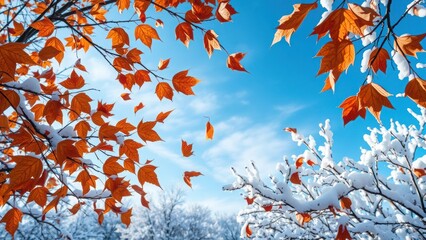 stunning image of orange autumn leaves on snow-covered branches against a vibrant blue sky. perfect for seasonal designs, calendars, and winter backgrounds.