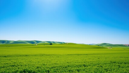 Naklejka premium Lush Green Field, Rolling Hills, Blue Sky - Nature Photography: Th.