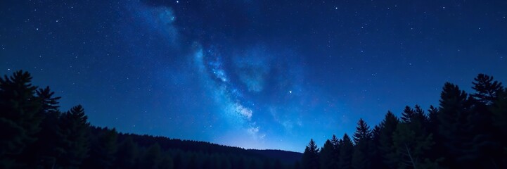 Fototapeta premium Dark blue night sky with stars twinkling above the treetops of a forest, blue sky, stars, earth