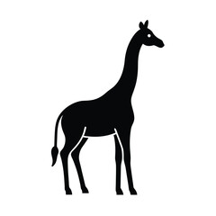 Fototapeta premium giraffe vector illustration