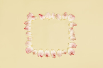 Obraz premium Flower petals arranged in a square shape on a light background for decorative purposes