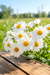 Obraz premium Daisies on a wooden surface, bright sunny day, blurry forest backdrop, summer feel