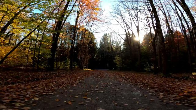 Cherry Plain Driving 0370 Autumn New York