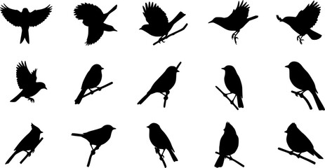 Obraz premium bird silhouette vector illustration, perfect for logo design, art projects, and graphic design. Diverse positions, flying, perching