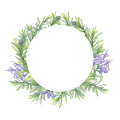 Round wreath of blooming Rosemary branches. Watercolor illustration