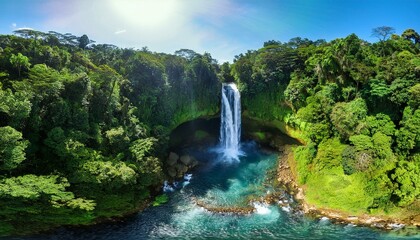 Rainforests are vital to our planet's health.  