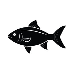 fish on a white background