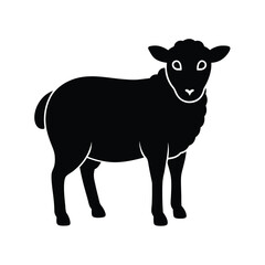 vector illustration of a sheep