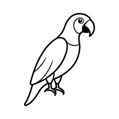 parrot on a white background