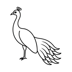 vector illustration of a bird