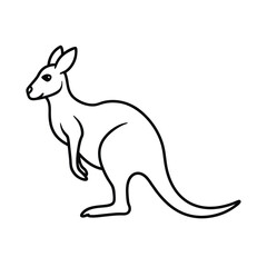 kangaroo vector illustration