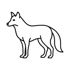 wolf vector illustration