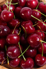 red cherries with tails