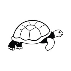 turtle vector illustration
