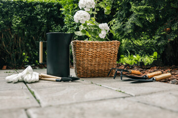 Gardening tools, black watering can, and gloves next to a potted white geranium in a woven basket....