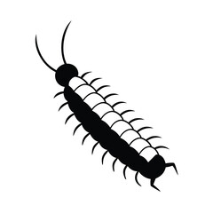 black caterpillar on white background