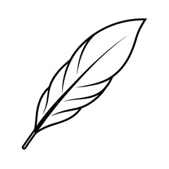 Obraz premium feather on white background