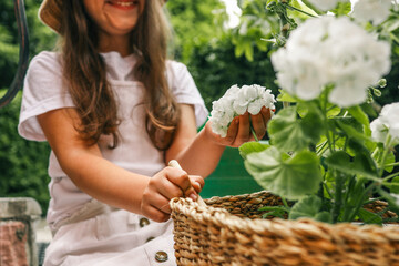 Young girl gardening, tending to white geraniums in a woven basket planter. Black watering can,...