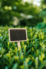 Blank wooden garden sign with a black chalkboard surface placed among green bushes. Customizable...