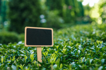 Blank wooden garden sign with a black chalkboard surface placed among green bushes. Customizable...