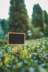 Blank wooden garden sign with a black chalkboard surface placed among green bushes. Customizable...