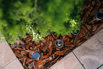 Set of four stainless steel solar garden lights installed in a landscaped outdoor area with mulch...