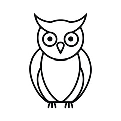 owl on white background