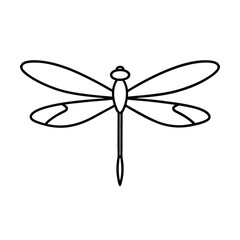 dragonfly isolated on white