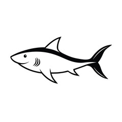 shark vector illustration