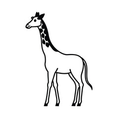 giraffe vector illustration