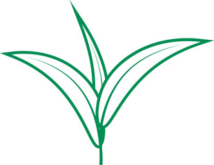 Colorful Botanical Backdrop for Natural Harmony