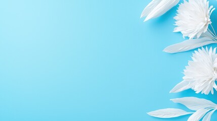 White flowers on blue background, copy space