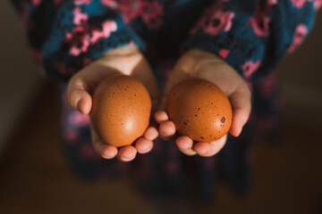Close up of kid hands holding two brown eggs