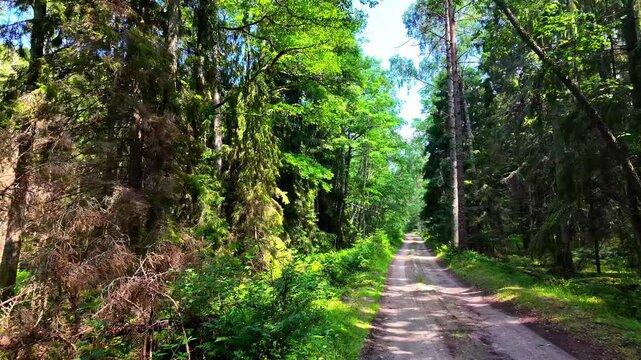 Trail inside the mouth of the Irbe River, public camping in Latvia