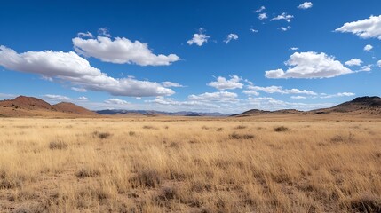 Fototapeta premium Expansive golden grassland under a bright blue sky with fluffy white clouds creating a picturesque view : Generative AI