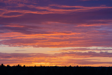 Vibrant romantic sunset sky with orange and pink clouds over the forest horizon. Natural background