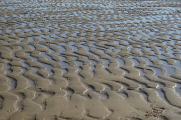 변산반도 학암포 해수욕장 갯벌