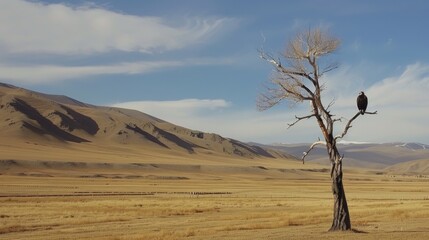 Lonely animal on tree,the desolate grassland