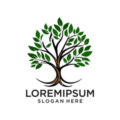 Obraz premium Tree Logo. Tree Logo vector. Tree icon vector.