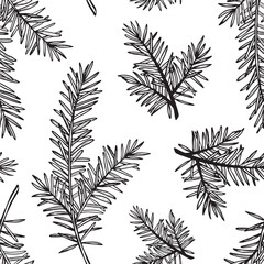 Pine branches vector seamless pattern