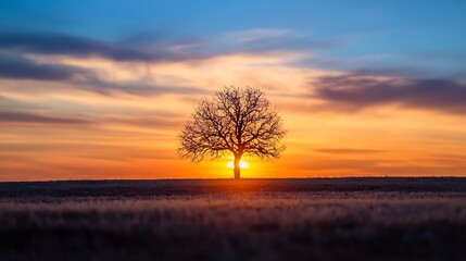 Majestic Tree Silhouetted Against a Vibrant Sunset Sky with Colorful Clouds : Generative AI