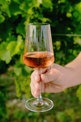 Glasses of rose wine on the vineyard scenery