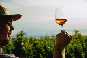 Man in striped shirt with a wine glass in the wineyard