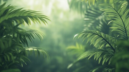 Lush Tropical Foliage, Misty Rainforest Ambiance