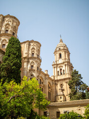 Fototapeta premium The baroque towers of Malaga Cathedral rise above lush green trees against a clear blue summer sky in Malaga Spain