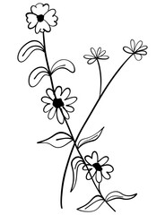 tiny wild flowers and plants line art botanical illustrations. Trendy greenery hand draw lines black ink sketches. vector illustration	