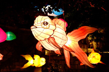 China's Yuanxiao (Filled round balls made of glutinous rice-flour for Lantern Festival) Festival lanterns.