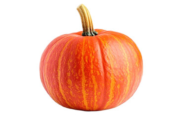 pumpkin isolated on white background